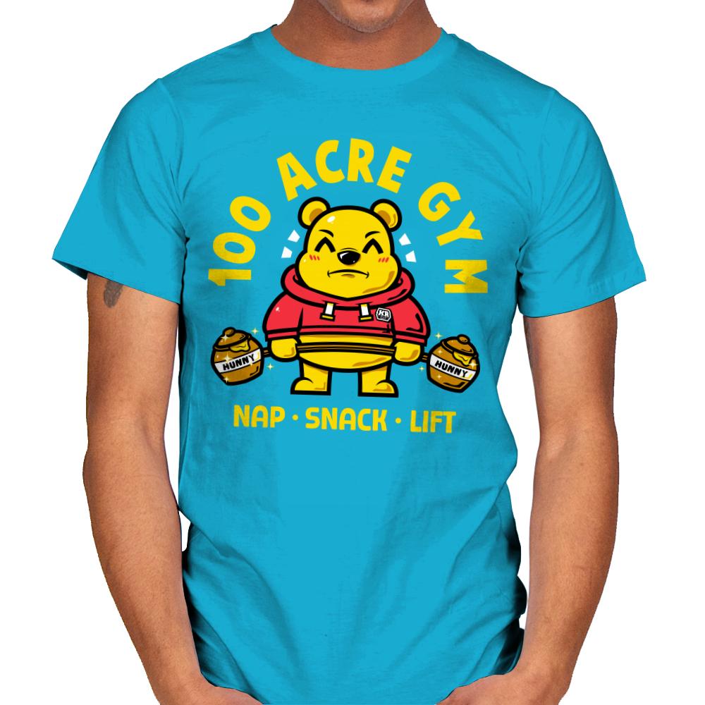100 ACRE GYM