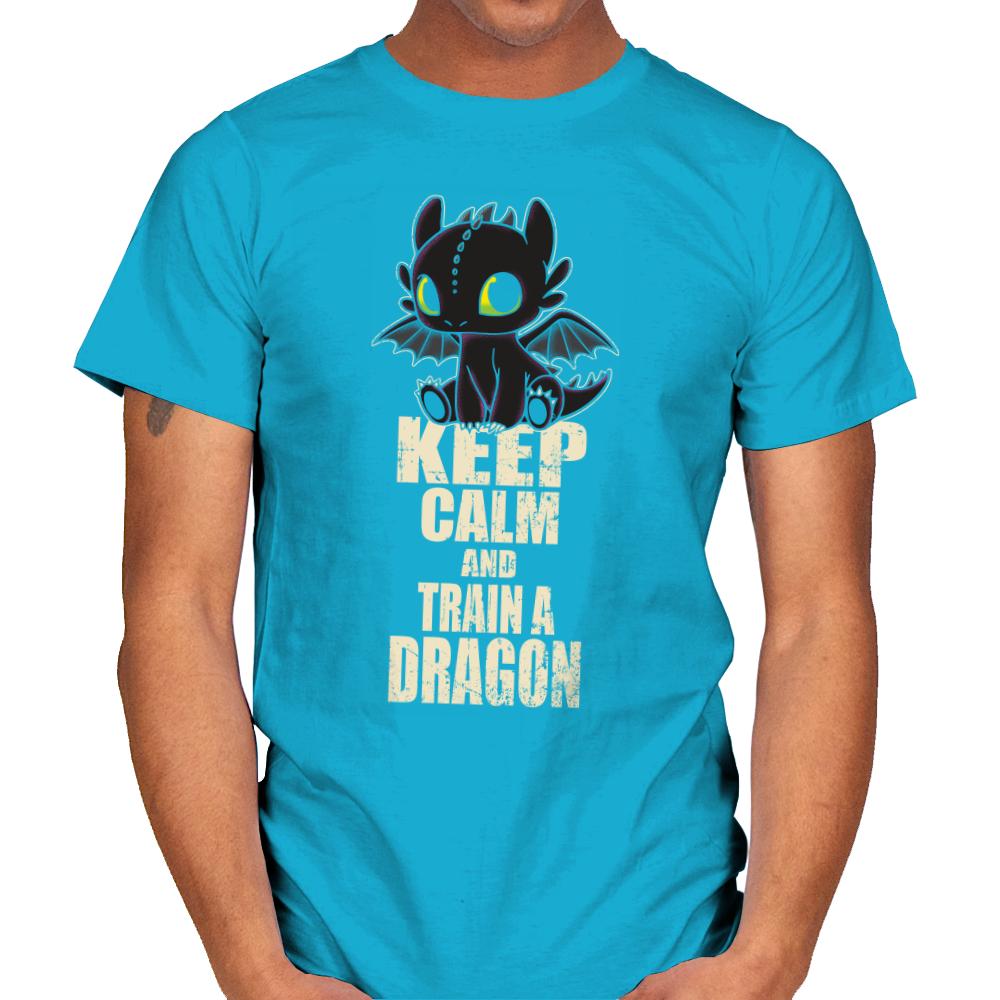 keep calm and train a dragon