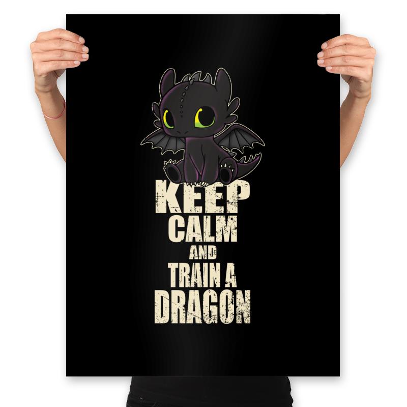 keep calm and train a dragon