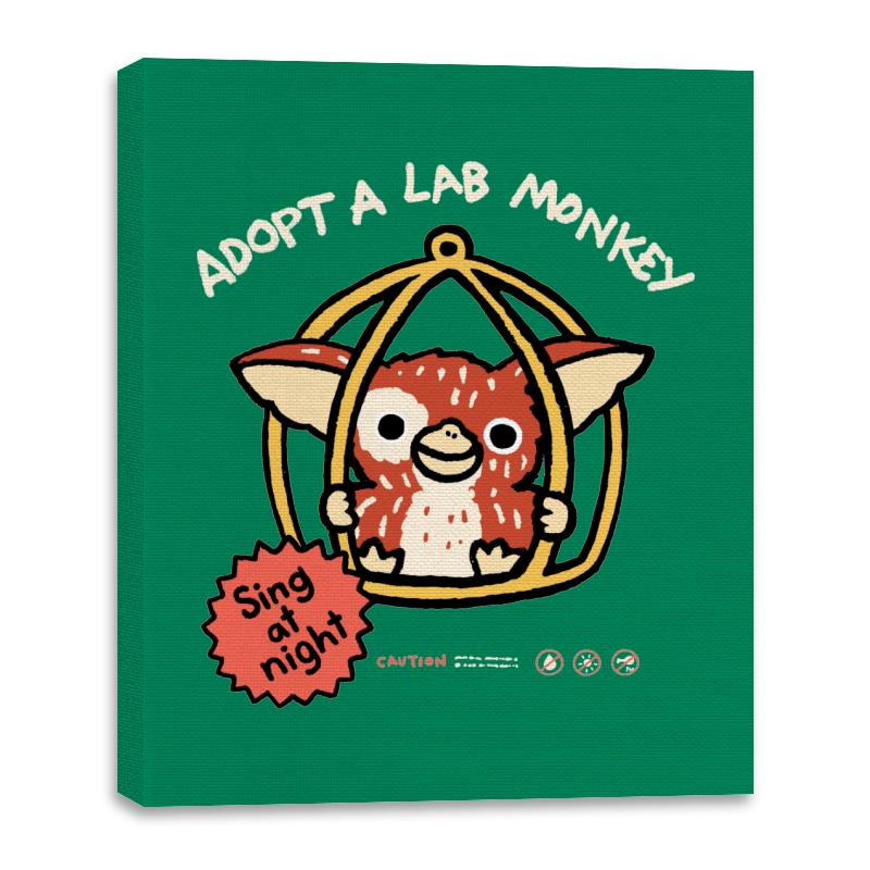 Lab Monkey