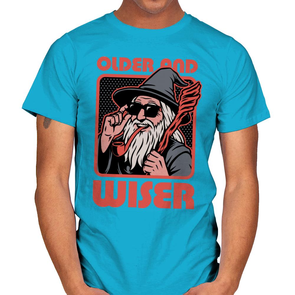 Old Wise Wizard Pop Art