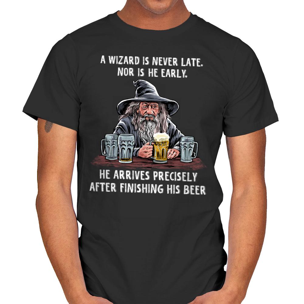 A Wizard is Never Late