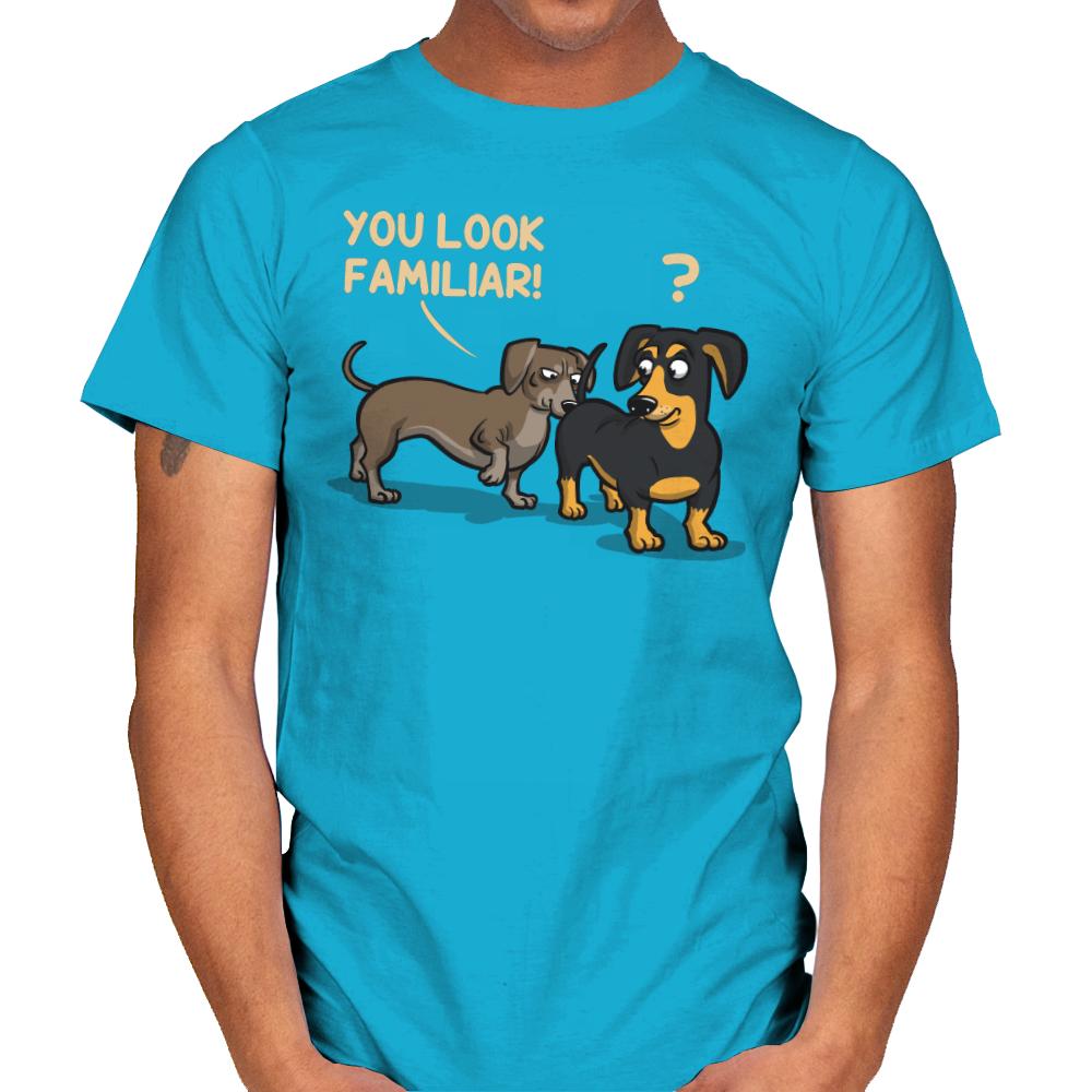 You Look Familiar