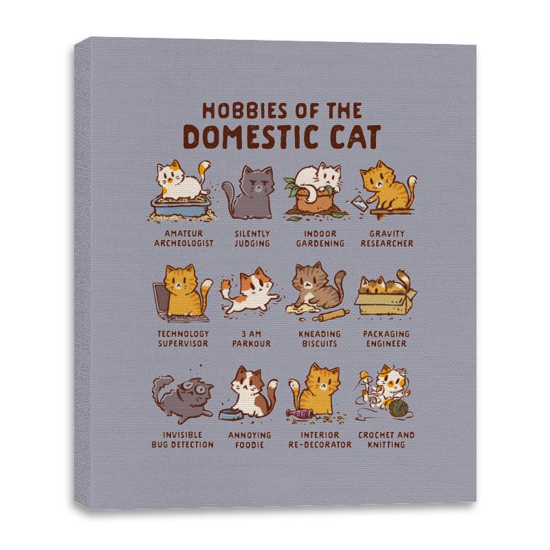 Cat Hobbies
