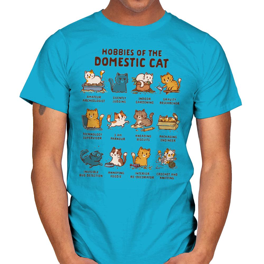 Cat Hobbies