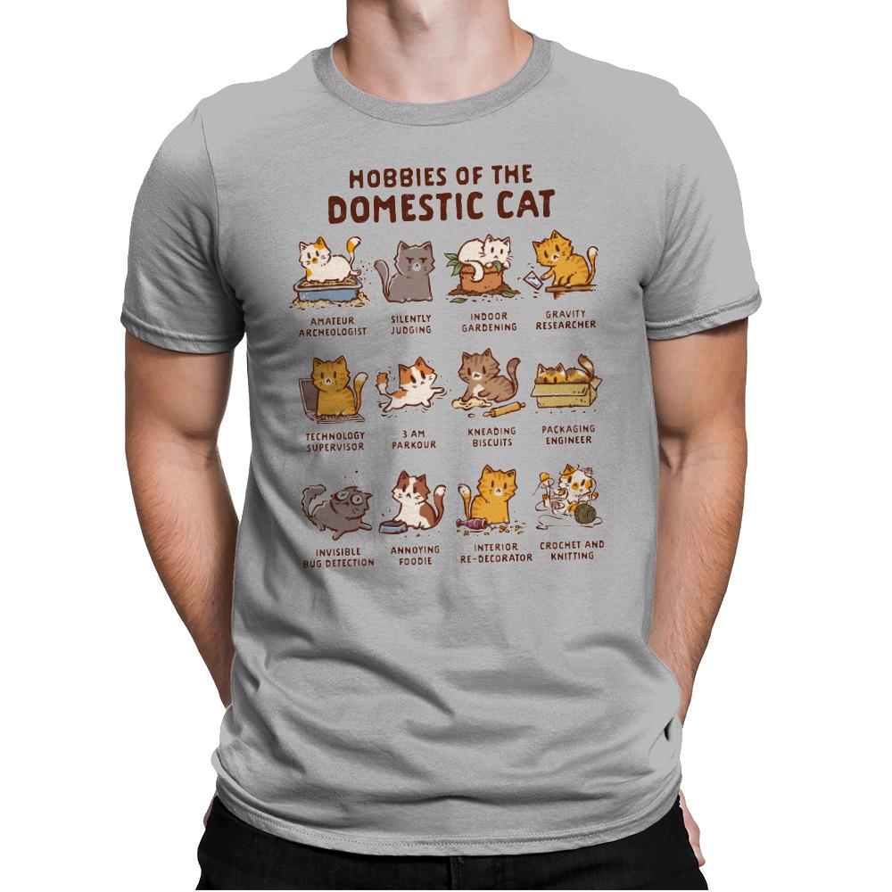Cat Hobbies