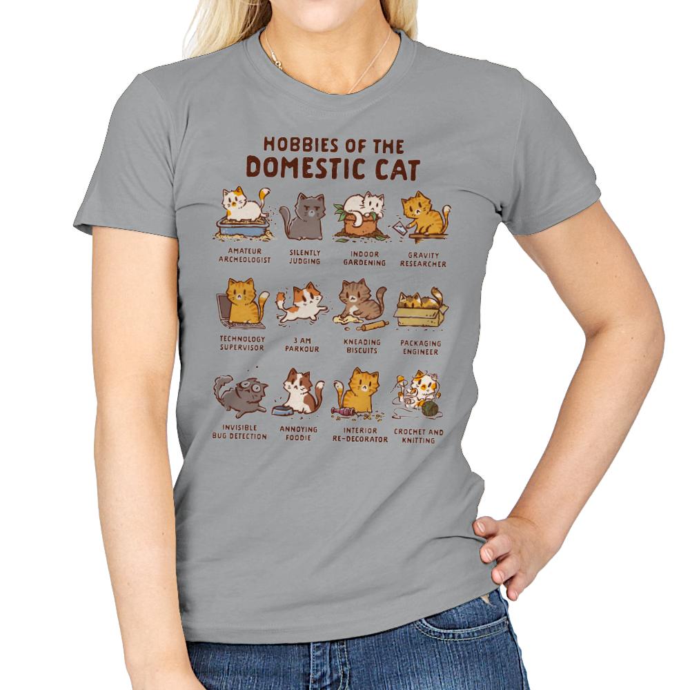 Cat Hobbies