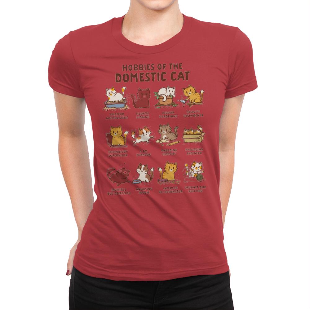 Cat Hobbies