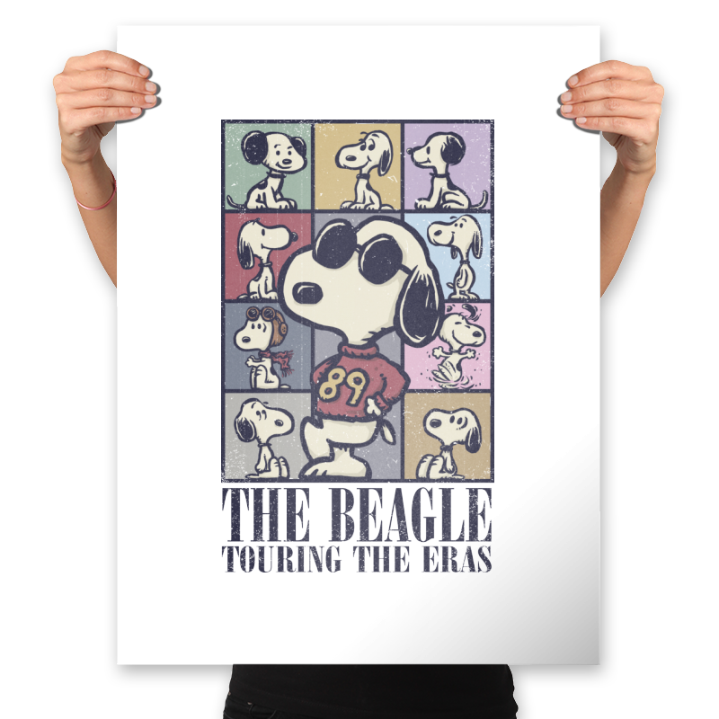 Eras of the Beagle