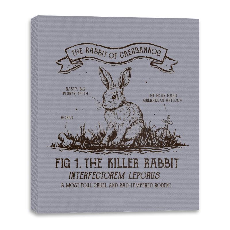 The Rabbit of Caerbannog