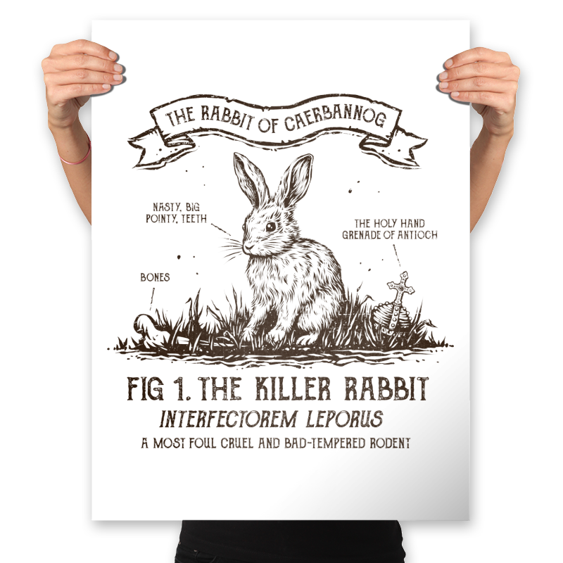 The Rabbit of Caerbannog