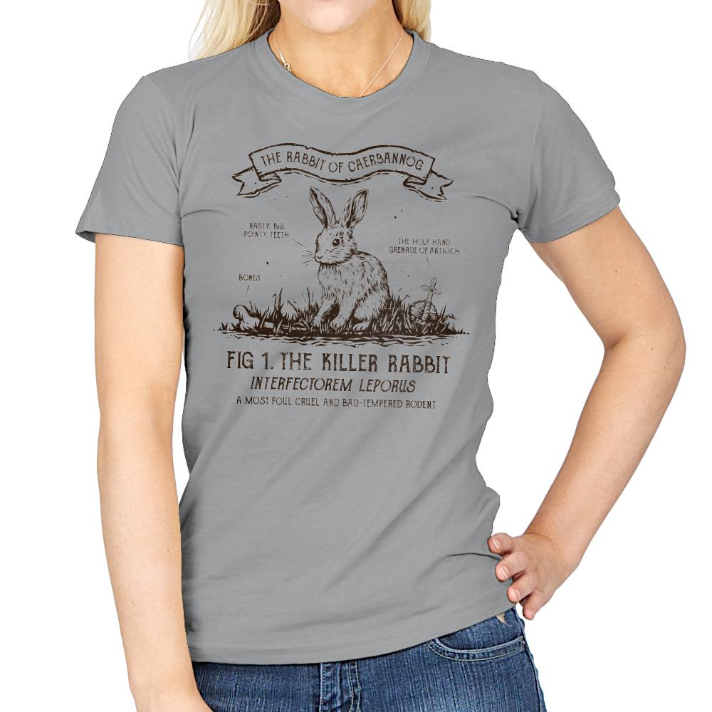 The Rabbit of Caerbannog