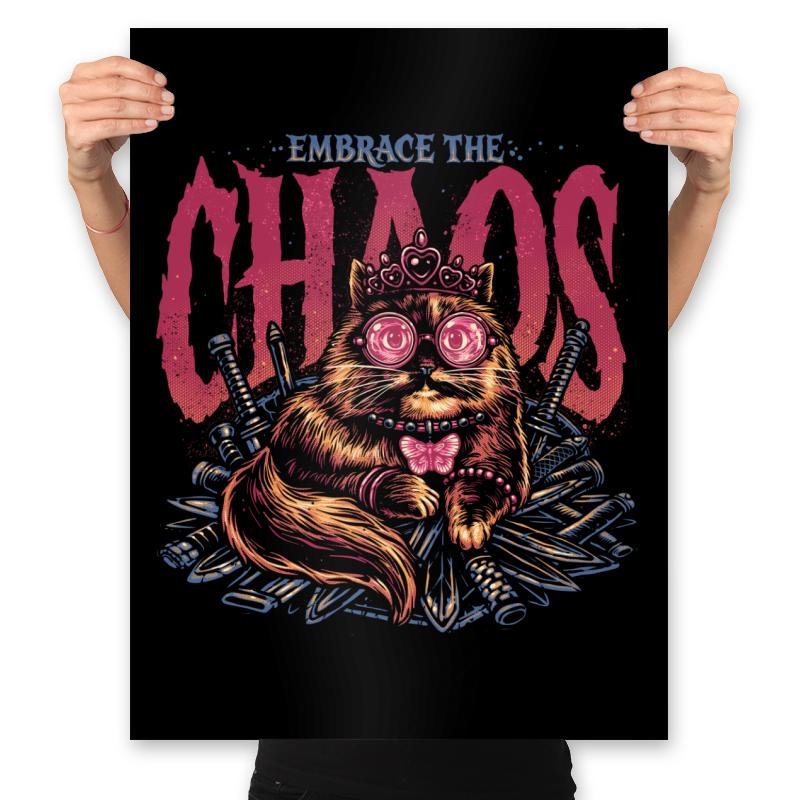 The Cat and the Chaos