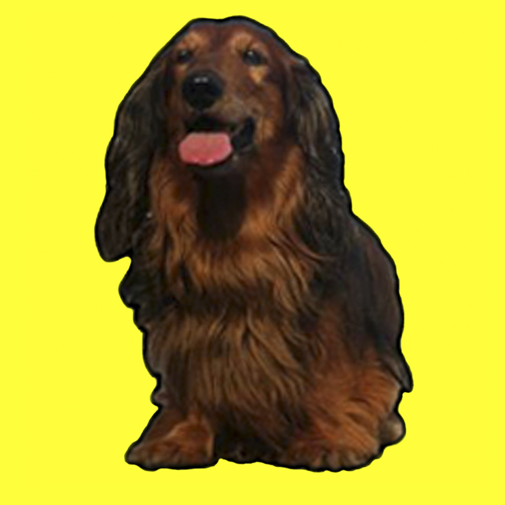 LilloKaRillo
