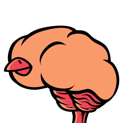 BirdBrains