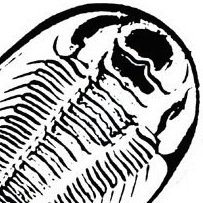 time&trilobites