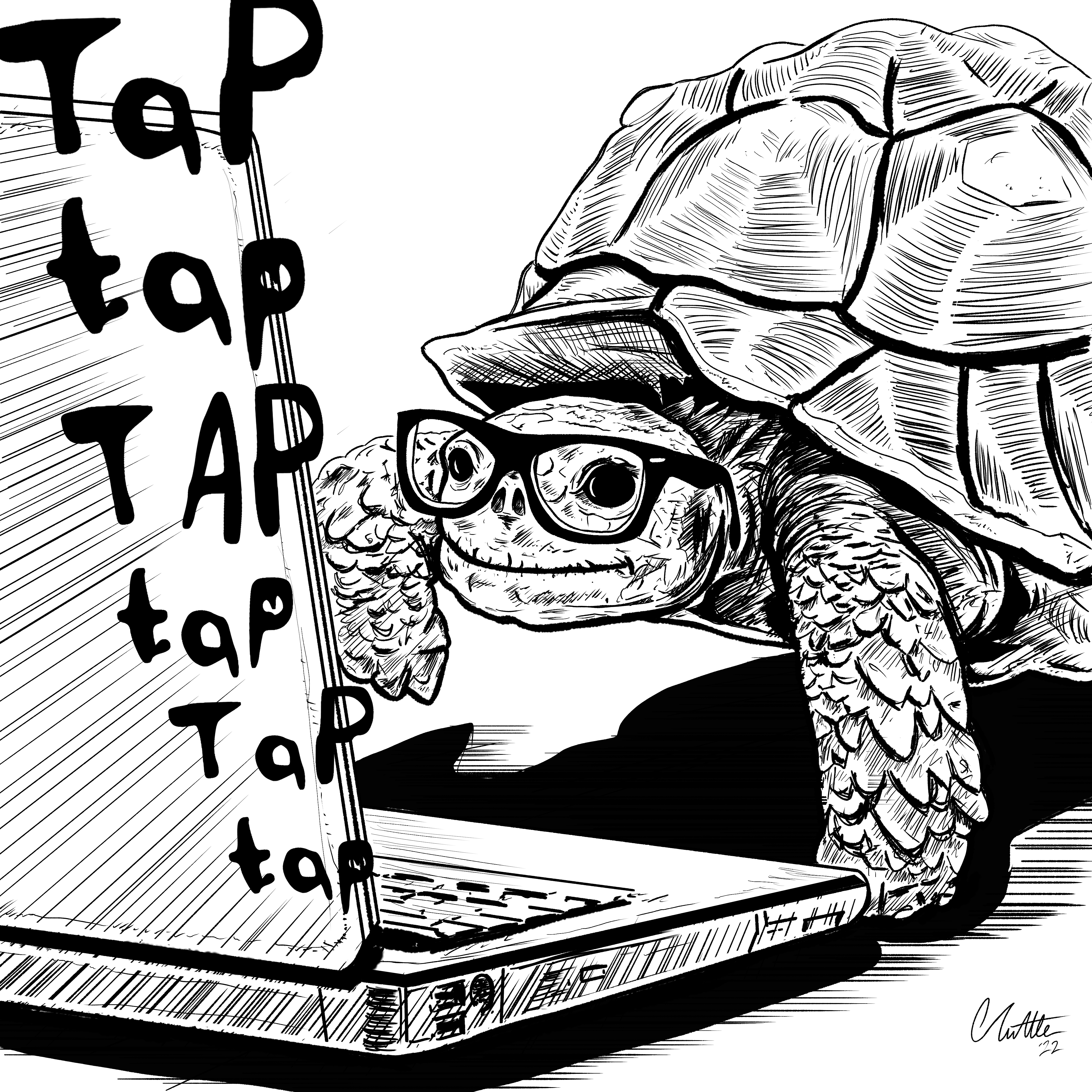 aparttimeturtle