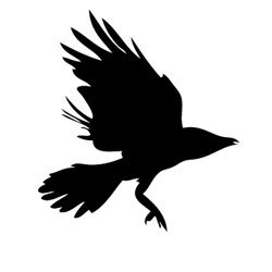 g_crows