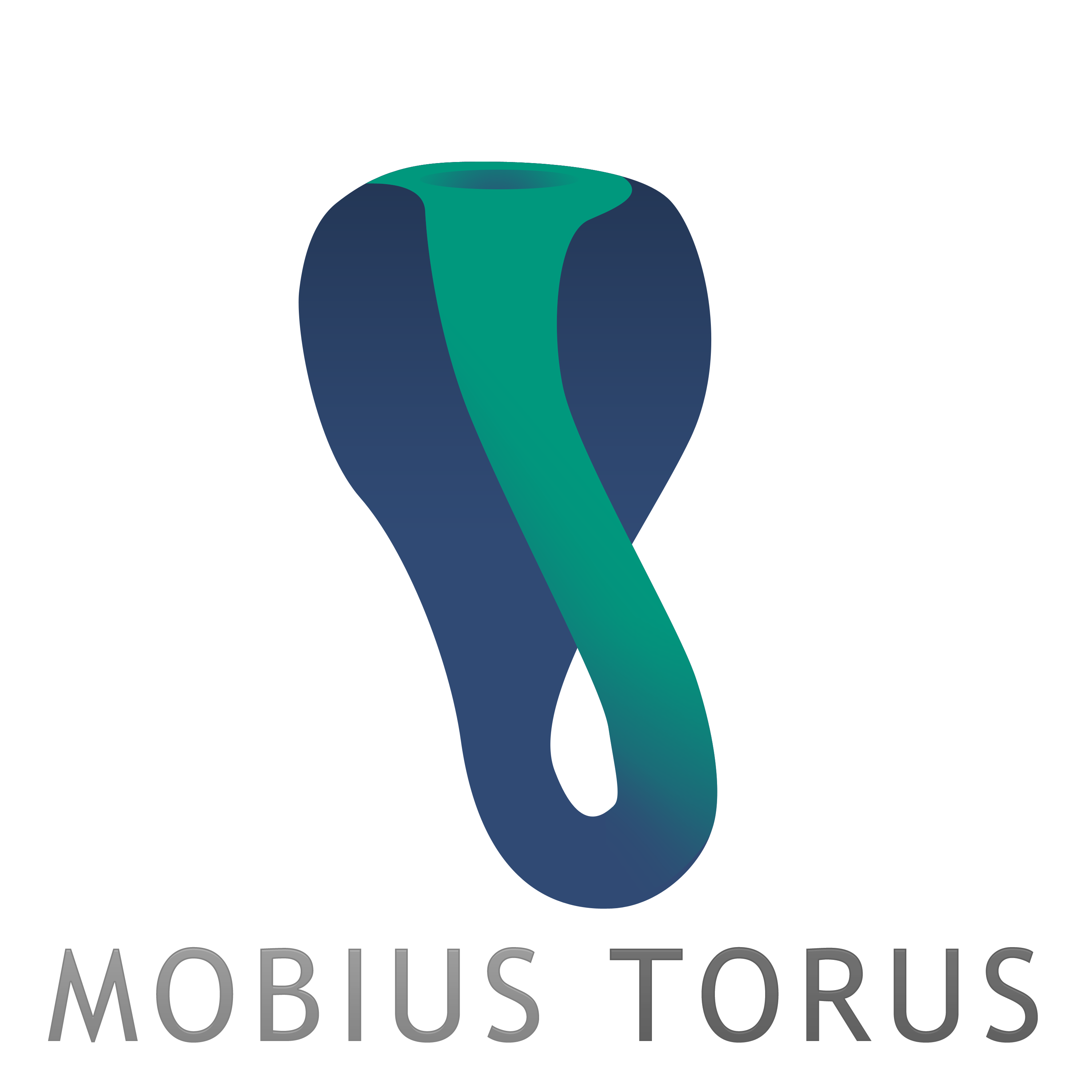 mobius-torus